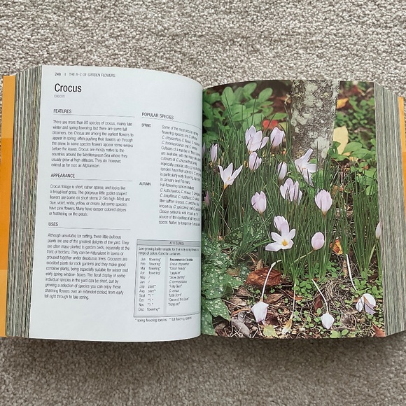 The A-Z of Garden Flowers - Picture 4 of 6